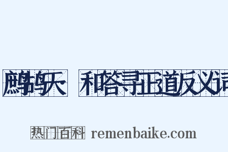 鹧鸪天·和答寻正道反义词是什么意思的图片